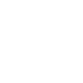 Fractional CFO Services icon Fractional CFO Services icon