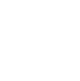 Risk Management & Controls icon Risk Management & Controls