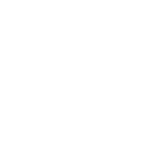 Systems Review icon (1) Systems Review