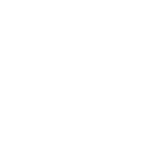 Systems Review