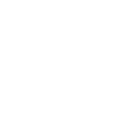 Interim CFO Support icon